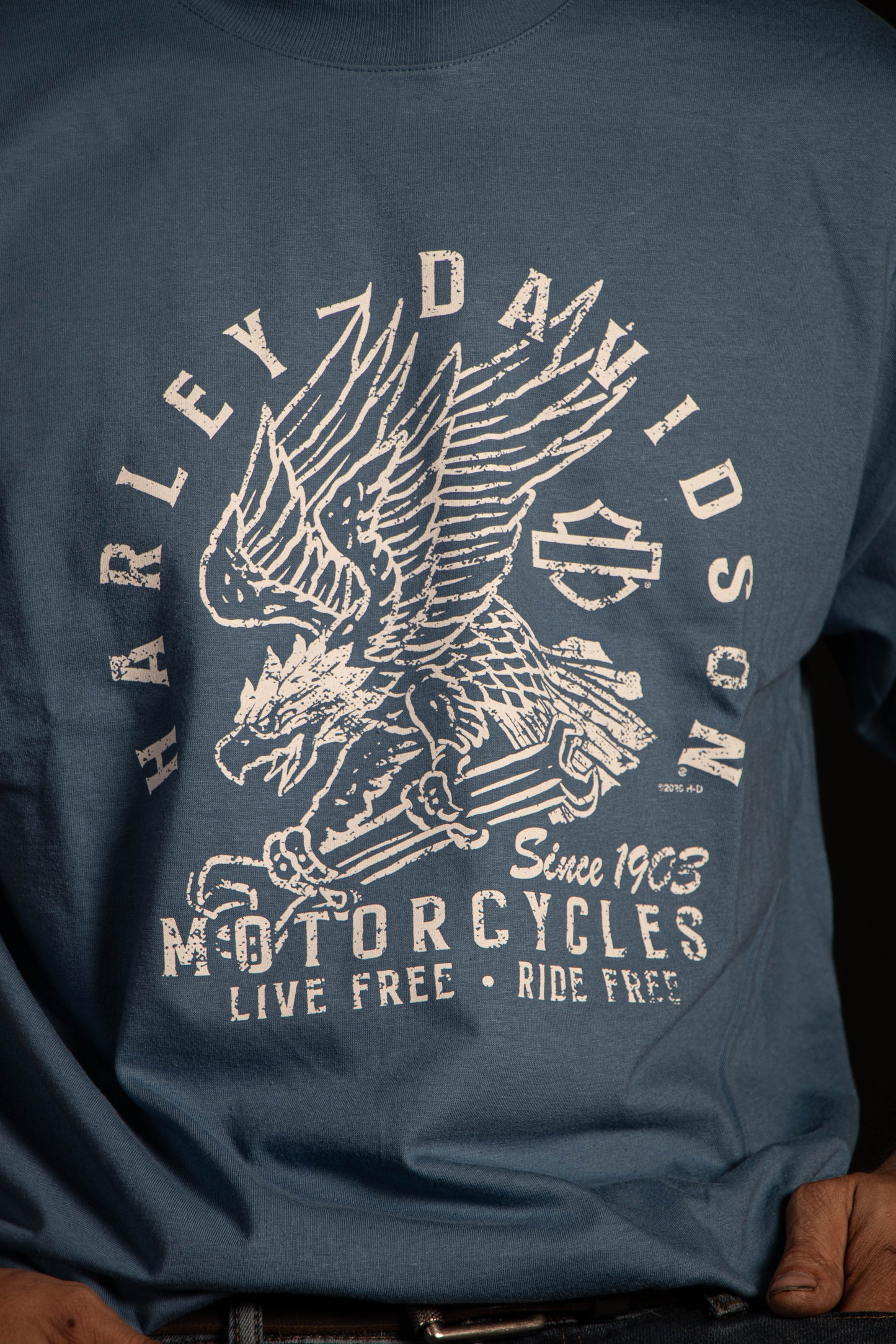 EAGLE GARAGE
