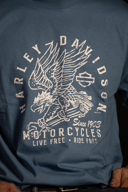 EAGLE GARAGE